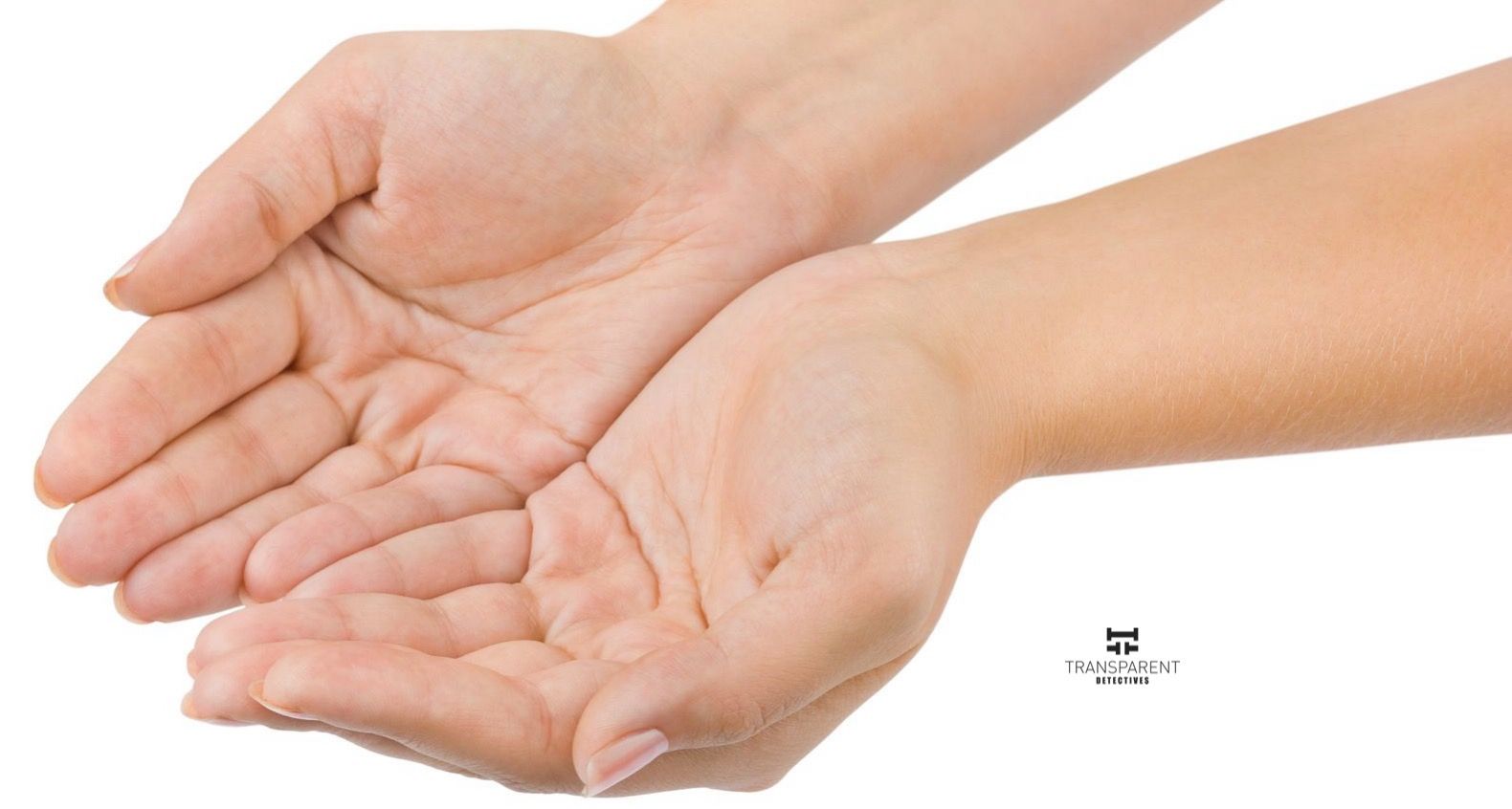 solidaridad-transparent